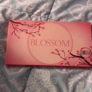 Blossom eye shadow never been used